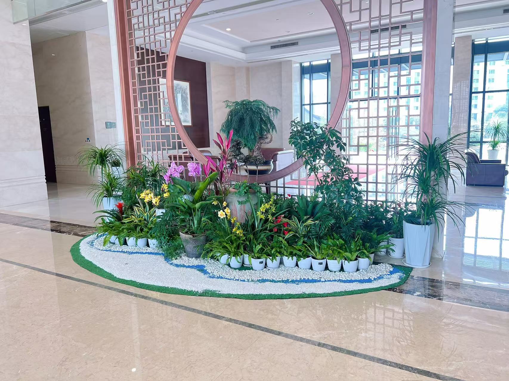 宁波杭州湾植物出租专业，让空间绿意盎然